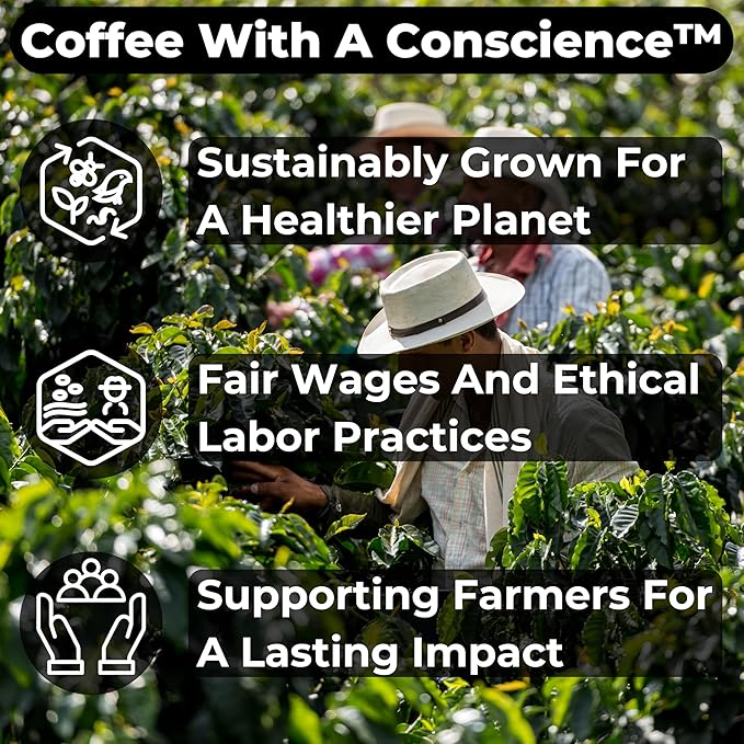 Amara - 3-Pack - Freshly Roasted After Your Order – Specialty Grade Natural Single Origin Medium to Light Roast Drip Ground Coffee No Bitterness Ethically Sourced – Pack of 3 (12 Ounces Each)