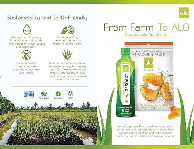 ALO Aloe Vera Juice Drink | BLUE - Aloe Vera + Blueberry | 16.9 fl oz Pack of 12 | Plant-Based Drink with Real Aloe Pulp