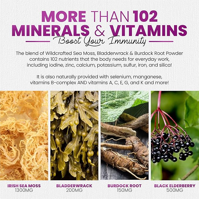 Sakoon nutrition Irish Sea Moss Gummies with Elderberry &amp Black Seed Oil - Overall Wellness Support | Rich in Vitamins Raspberry Flavor | 60 Gummies