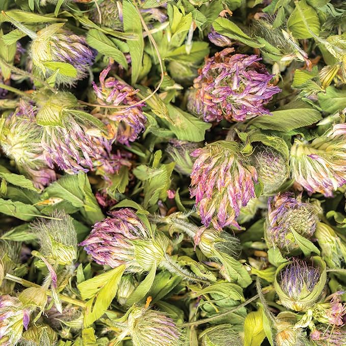 Red Clover Tea Organically Grown in Wisconsin | 2.8 oz | 39 Servings | Sacred Blossom Farm | Herbal Tea &amp Medicinal Herbs | Loose Leaf | Regenerative Farming | Single Source | Trifolium pratense