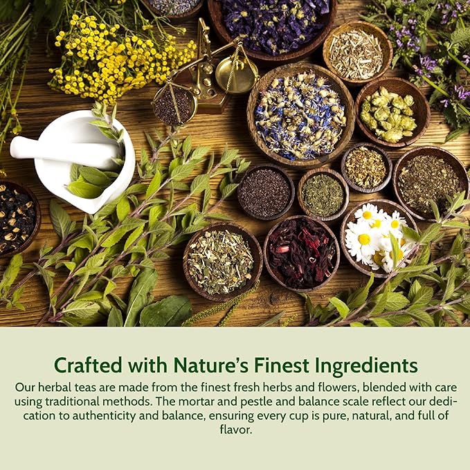Smoke Camp Crafts Loose Leaf Herbal Tea Gift Set with Stainless Steel Infuser 10 Unique Flavors Handcrafted USDA Organic Tisane Tea Sampler Pack of 10 Jars