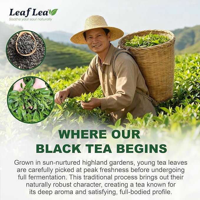 LeafLea 80 Black Tea Bags Premium Black Tea Leaves Rich Bright and Firmly Astringent Promotes Digestive Comfort &amp Steady Alertness Caffeinated Sugar-Free Vegan Enjoy Hot or Iced