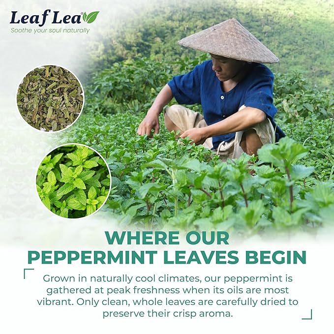LeafLea 80 Premium Peppermint Tea Bags 100% Natural Peppermint Leaf Tea Te de Menta for Soothing Throat &amp Refreshing Breath Light and Smooth Flavor Caffeine-Free Sugar-Free Individually Wrap