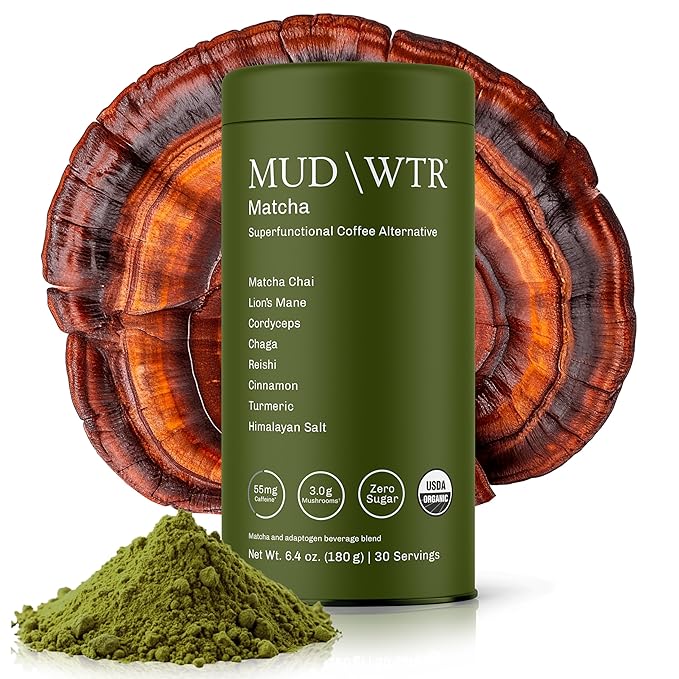 MUDWTR Mushroom Matcha Powder | 3000mg of Adaptogenic Mushrooms | Japanese Matcha Powder Blend | USDA Organic | Energy Focus &amp Immunity Support | Lion's Mane Chaga Reishi Cordyceps | 30 Servi