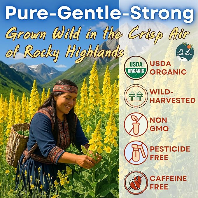 Dr. Lu’s Organic Mullein Leaf Tea | High-Altitude Grown in the Rocky Mountains | Pure Botanical Respiratory Support | 30 x 3g Premium Fill Corn Fiber Pyramid Bags (No Plastic No Nylon)