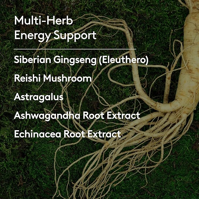 Immune + Energy Syrup Herbal Formula with Ashwagandha Echinacea Astragalus and Ginseng High Absorption Easy to Take Caffeine-Free - 6.7 Fl oz (40 Servings)