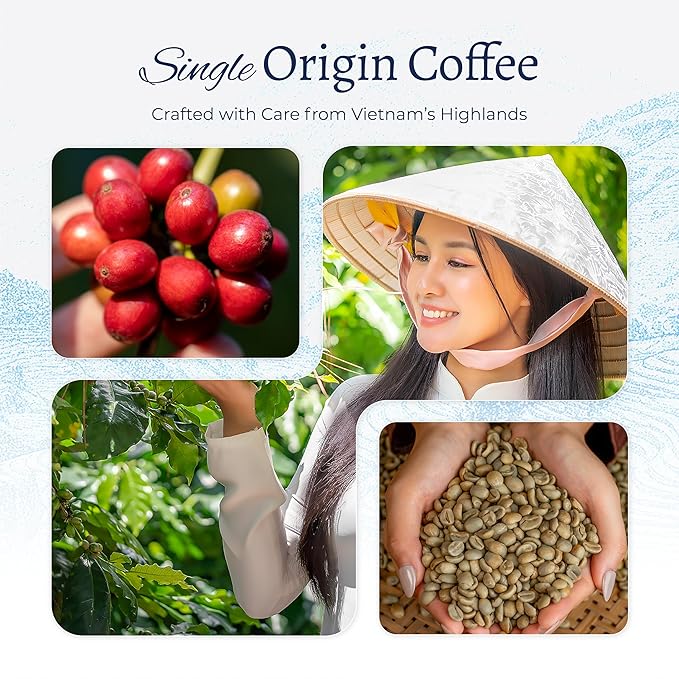 Blu Ore Premium Vietnamese Coffee Pods - Recyclable Single Serve K-Cup Compatible (24 Count) - 100% Arabica Coffee No Preservatives or Artificial Flavor (Medium Roast)