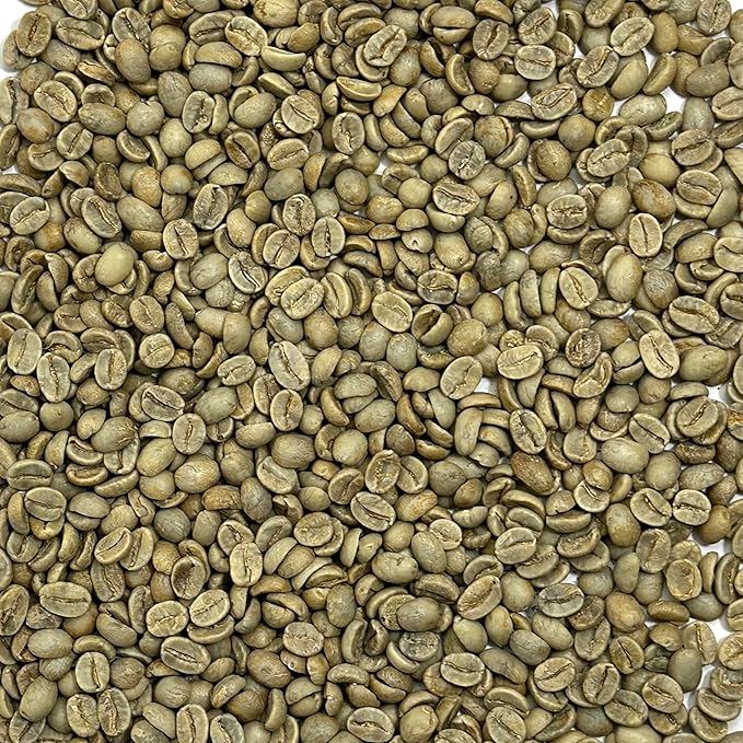 Current Crop Roasting Shop India Mysore Nuggets Green Coffee Beans – Unroasted Arabica for Home Roasting – Chikmagalur Single Origin Washed Process 10-Pound Bag