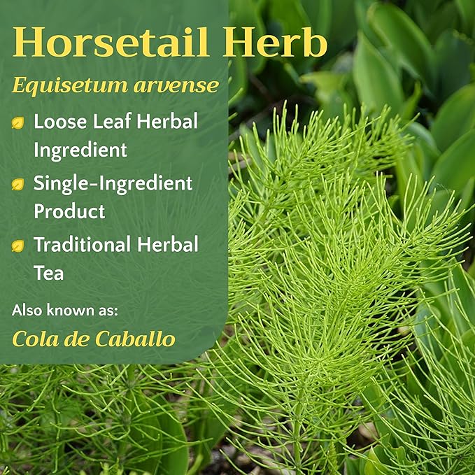 Horsetail Tea - Cut &amp Sifted Horse Tail Grass Herb - Cola de Caballo Hierba - Dried Equisetum Artvense Plant - Loose Leaf Herbs Bulk 1 pound Bag