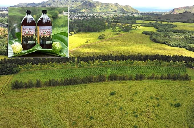 Wailua River Noni Juice - 100% Organic Authentic Hawaiian Noni Juice - USDA Certified Organic – Grown on the Island of Kauai - 2 Quarts