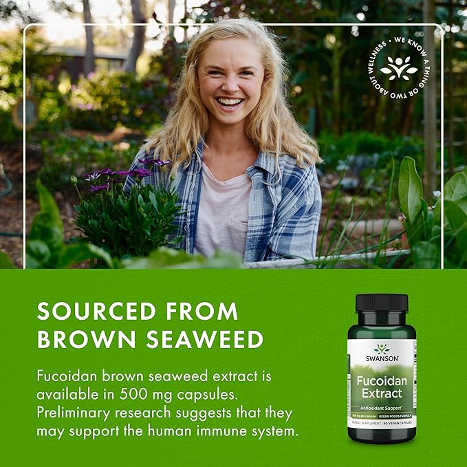 Swanson Maximum Strength Fucoidan Extract Immune Support Supplement for Adults Seeking Natural Immune Defense from Brown Seaweed - 500 mg (60 Vegan Capsules 3 Pack)