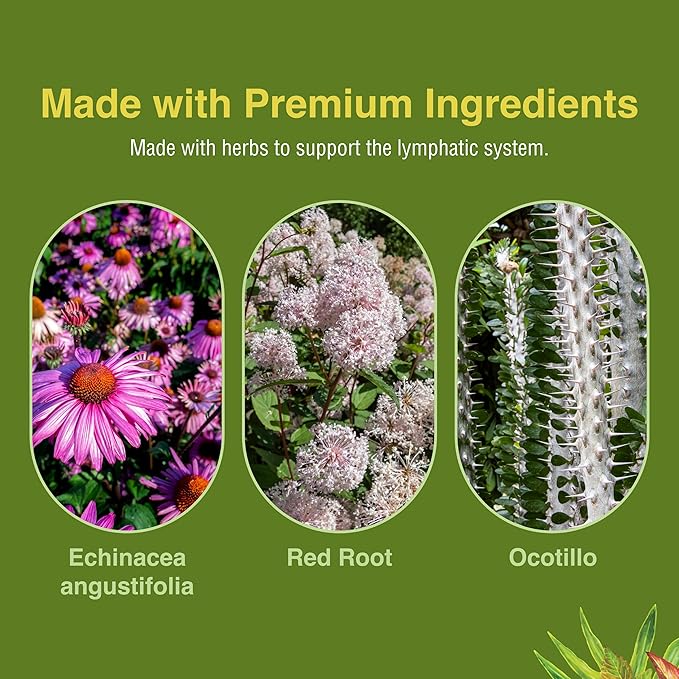 Herbs Etc. Lymphatonic 60 Count