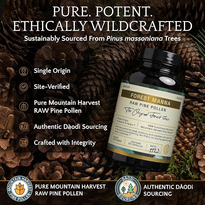 Forest Manna RAW Pine Pollen Capsules – Adaptogenic Functional Nutrition – Single Origin Pine Pollen – Vegan Gluten-Free &amp Non-GMO – 120 Capsules