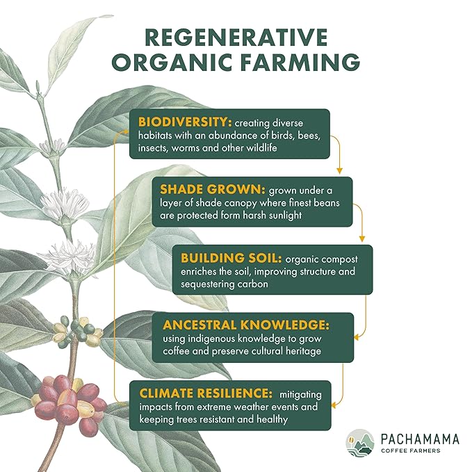 Pachamama Organic Coffee - Farmer's Blend Dark Roast Whole Bean Coffee - 2 lb - Farmer Owned &amp Regenerative