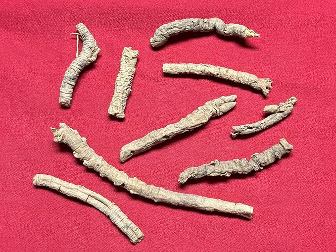 XYP Yuanzhi Yuan Zhi 远志 100Gram