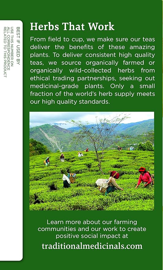 Traditional Medicinals Organic Ginger &amp Chamomile Herbal Tea Relieves Occasional Indigestion or Nausea (Pack of 3) - 48 Tea Bags Total