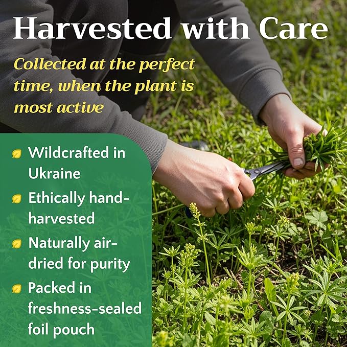 Cleavers Herb Tea (Galium Aparine) - Dried Cut &amp Sifted Cleaver Herbs - Fresh Herbal Loose Leaf Teas 8 oz