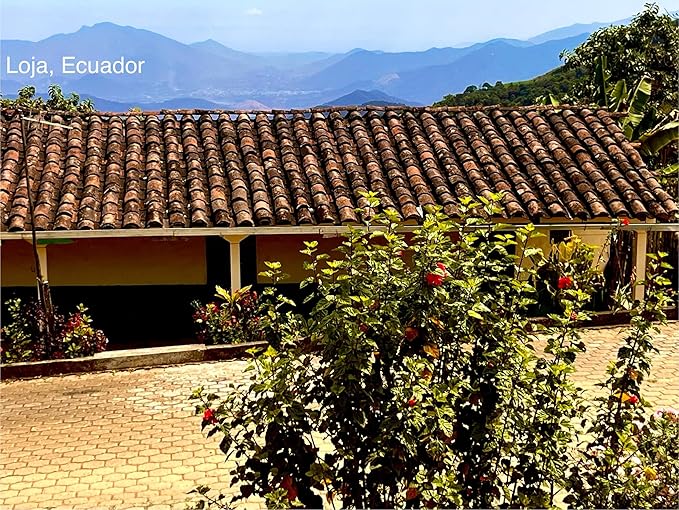 Mont Coffee - Loja Region - Specialty Single Origin Ecuadorian Arabica Coffee | Deluxe | Fresh Roast (Pack Whole Beans)