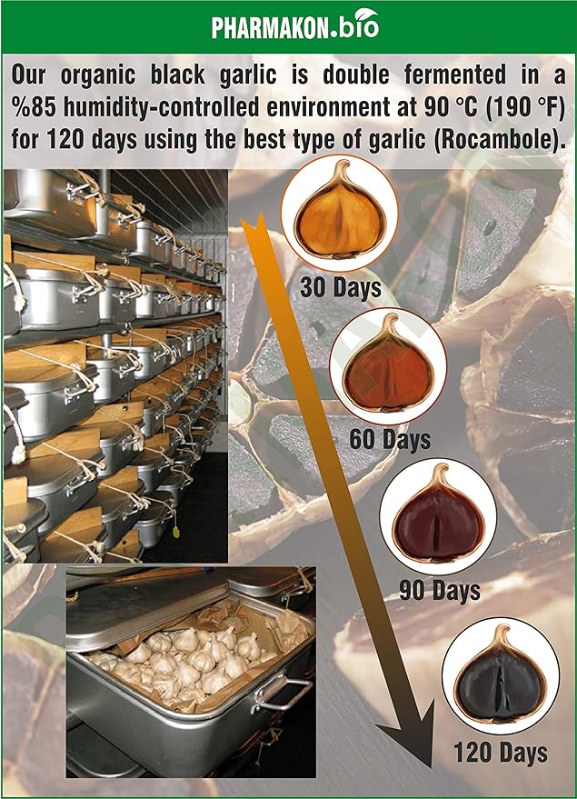 PHARMAKON Organic Aged Black Garlic Potent Soft Capsules Wholesome Reduced Odor (240 Count)
