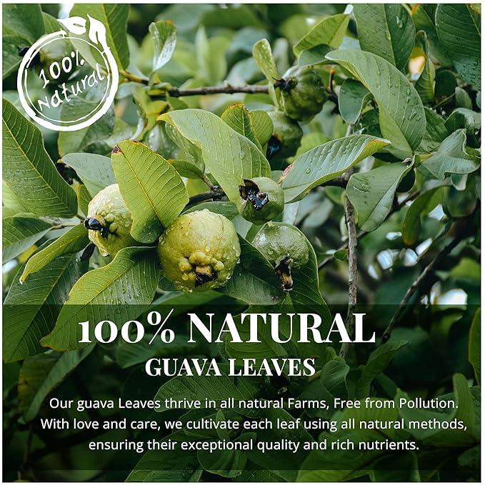 Akshit Dried Guava Leaves Hojas De Guayaba Secas13oz Natural Dried Leaves Aromatic Guava Leaf Tea Vegan Non GMO.