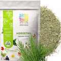 Horsetail Tea - Cut &amp Sifted Horse Tail Grass Herb - Cola de Caballo Hierba - Dried Equisetum Artvense Plant - Loose Leaf Herbs Bulk 1 pound Bag