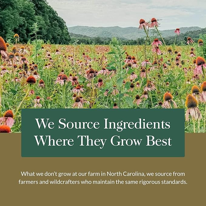 Gaia Herbs Hair Skin &amp Nail Support - Supplement to Support Healthy Skin Hair &amp Nail Health* - Astaxanthin Horsetail Gotu Kola &amp Burdock - 60 Vegan Liquid Phyto-Capsules (30 Servings)