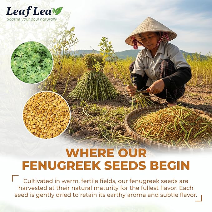 LeafLea 80 Premium Fenugreek Tea Bags Natural Fenugreek Seed for Toasty Flavor &amp Sweet Aroma Fenogreco Tea with Gentle Warmth Caffeine-Free Sugar-Free Vegan Individually Wrapped for Freshnes