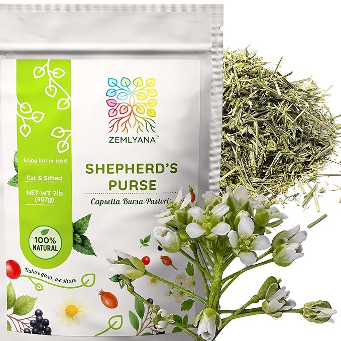 Shepherd's Purse Dried Herb - Shepherds Purse Tea - Cut &amp Sifted Natural Capsella Bursa-Pastoris - Bolsa De Pastor Hierba - Bulk 2 lb (32 oz)