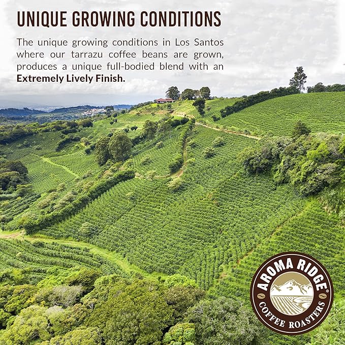 Tarrazu Costa Rica Swiss Water Process Decaf Whole Bean Coffee by Aroma Ridge | 16oz Medium Roast Gourmet Coffee Beans | Full Bodied Roasted Coffee Beans With a Nutty-Sweet Aftertaste