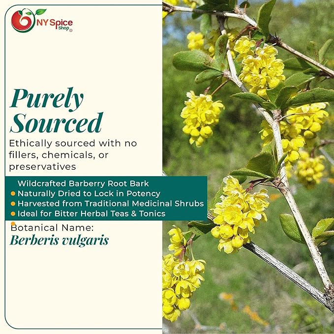 NY Spice Shop Barberry Root Bark - Cut &amp Sifted Dried Berberis Vulgaris Herb - Natural Plant-Based Ingredient Botanical Herb For Teas Tinctures &amp Herbal Blends (16 Ounce)