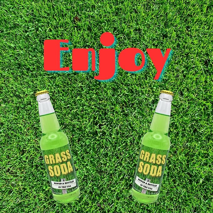 Generic Grass Soda | 6 Pack of Unique Grass Flavored Soda Pop with Real Cane Sugar | 12 oz Glass Bottles in a 6 Pack with Crazy Soda Pop Bottle Opener
