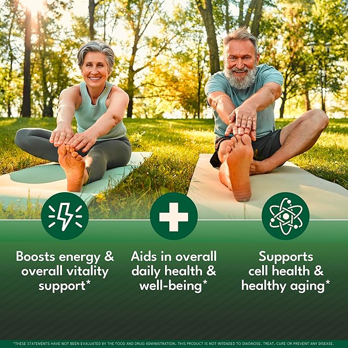 NEW AGE Oil of Oregano Drops - Black Seed Oil Elderberry Vitamin D D3 K2 Olive Garlic - Immune Support Supplement Wellness Formula Zinc Supplements Liquid - 2Fl Oz