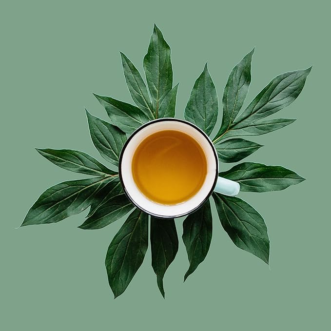 Washington Apple Loose Leaf Green Tea - Cinnamon-Dried Apples - Caffeinated Hot &amp Iced | bulk 8oz 80-100 cups | The Spice Hut First Sip of Tea