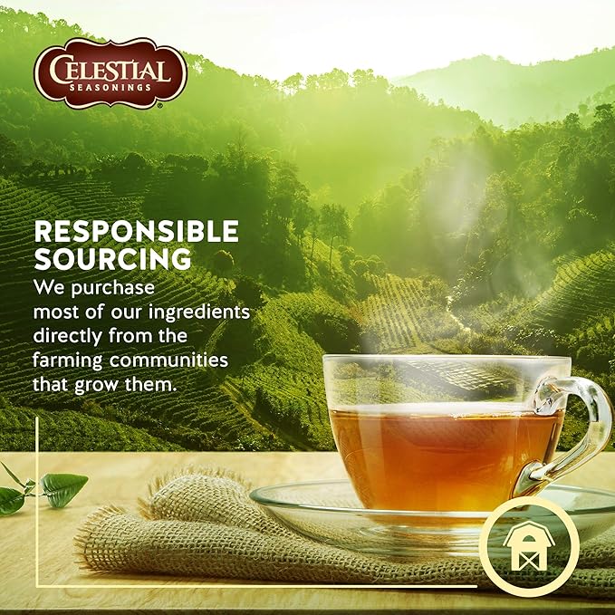 Celestial Seasonings Herb Tea Wild Berry Zinger 20-count (Pack of 6)
