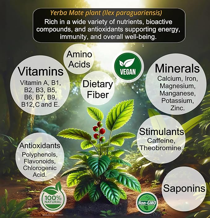 Premium Quality Yerba Mate Tea Powder – 100% Pure 10:1 Extract for Clean Energy Focus Metabolism &amp Heart Health. Antioxidant-rich Vegan Non-GMO Unroasted &amp Unflavored. 150g (60 servings)