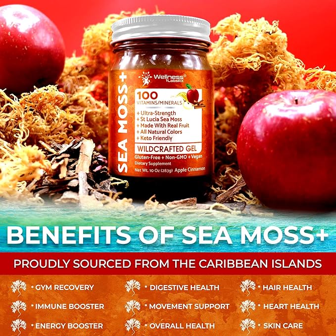 Irish Sea Moss Gel Raw - Wildcrafted Superfood Seamoss Gel - Apple Cinnamon Flavor Vitamin and Mineral-Rich from Pristine Caribbean Waters Immune and Digestive Health Support - 10 oz