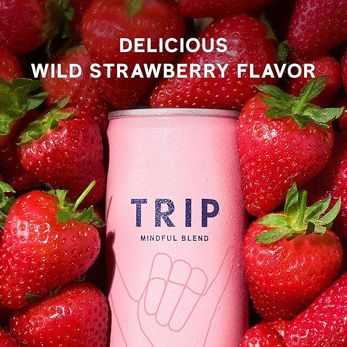 TRIP Lightly Sparkling Adaptogen Drink Non Alcoholic Drink with Magnesium Ashwagandha Lions Mane &amp L Theanine No Added Sugar Mocktail Vegan Wild Strawberry 12 Oz 12Pk