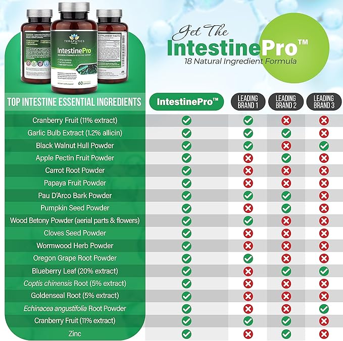 IntestinePro - Gut Health Supplement with Non-GMO Wormwood Black Walnut Clove Pumpkin Seed + 14 More Premium Ingredients - Natural Support for Humans - 60 Vegetarian Capsules