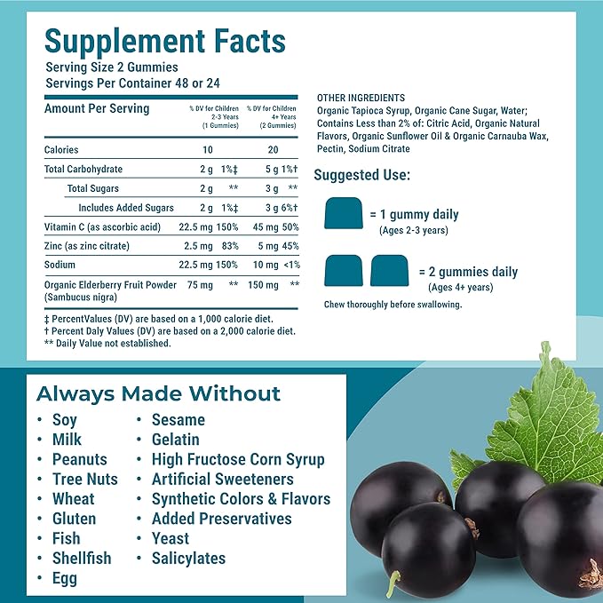 Hyland's Kids Organic Elderberry Plus Gummies Organic Black Elderberry with ZINC and Vitamin C Immune Support for Children 48 Vegan Gummies (Pack of 2)
