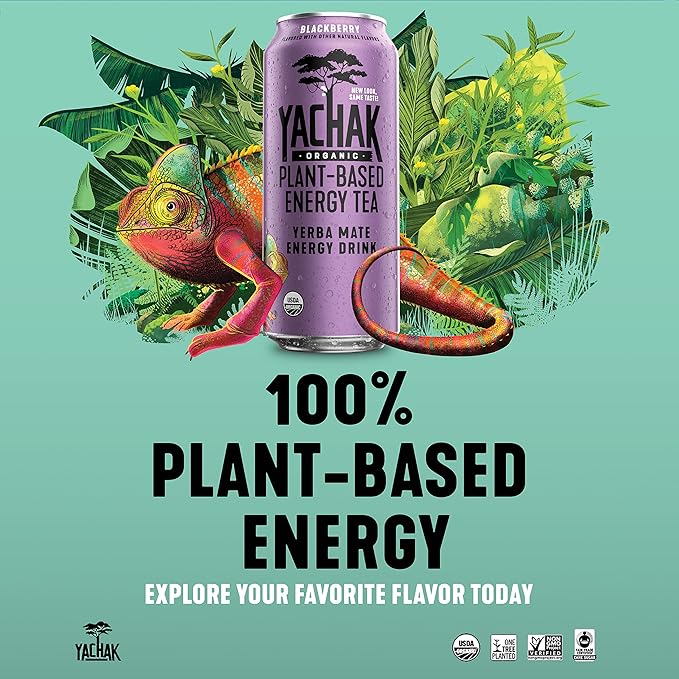 Yachak Yerba Mate Drink Blackberry 16 Fl Oz Cans Pack of 12