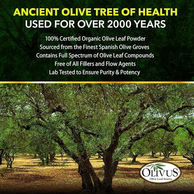 OliveLeafMAX Olive Leaf Extract (40% Oleuroepin) + Organic Olive Leaf Powder + No Fillers + 300 Vegetarian Capsules + Sourced from Spain and Manufactured in USA at GMP Facility