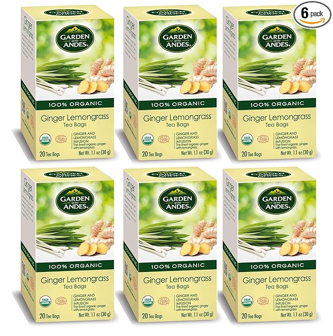 Garden of the Andes - Organic Ginger Lemongrass Tea - 20 Tea Bags/Box Pack of 6 (120 ct.) - Caffeine-Free Herbal Infusion - Supports Digestive Wellness &amp Calming Comfort
