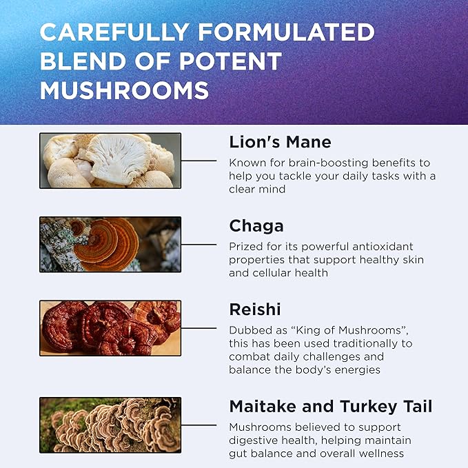 DR. EMIL NUTRITION 9000mg Organic Lions Mane Supplement Capsules with Chaga Reishi &amp Maitake - Natural Mushroom Blend for Wellness Support