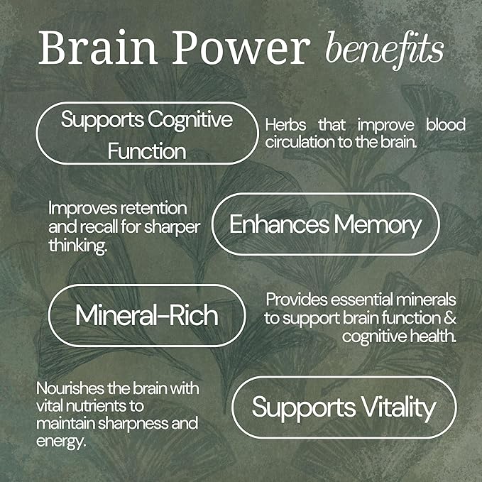 Brain Power Herbal Tea by Mindful Moon – Focus &amp Memory Support Blend with Ginkgo Nettle &amp Rosemary – Caffeine-Free Loose Leaf (Mini)