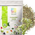 Cleavers Herb Tea (Galium Aparine) - Dried Cut &amp Sifted Cleaver Herbs - Fresh Herbal Loose Leaf Teas Bulk 1lb (16 oz)