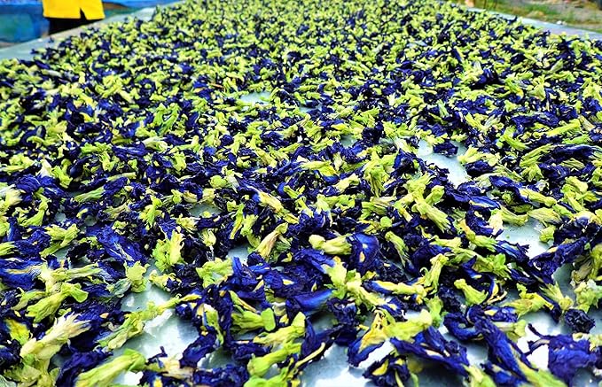Wild Hibiscus Blue-Tee | 100% Pure Butterfly Pea Flower Tea (12 oz) | Caffeine-Free Herbal Tea | Naturally Vibrant Blue Color | Antioxidant-Rich Relaxing Herbal Infusion