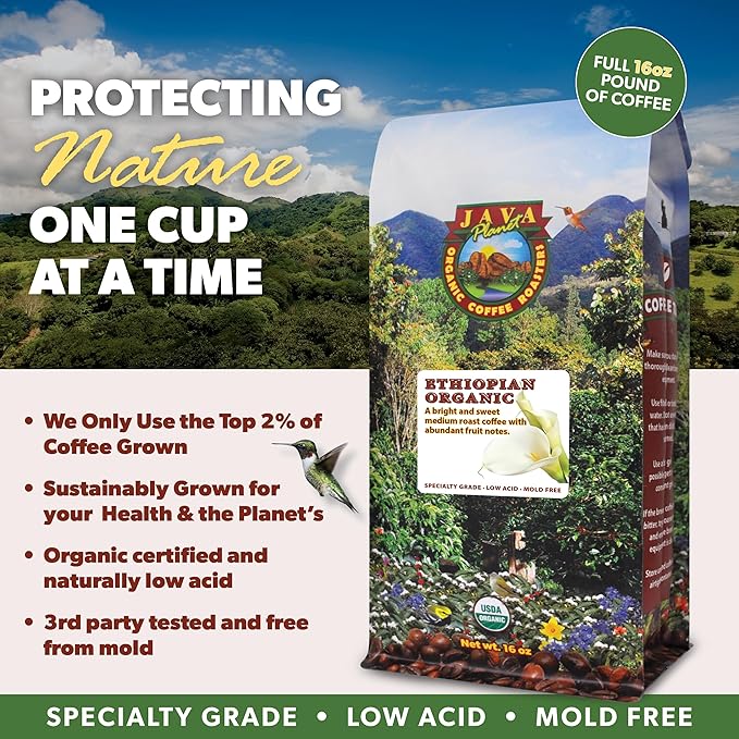 Low Acid Organic Coffee – Whole Bean Mold-Free &amp Stomach Friendly by Java Planet Ethiopian Single Origin Coffee Medium Roast Smooth Full Flavored 5LB Bag