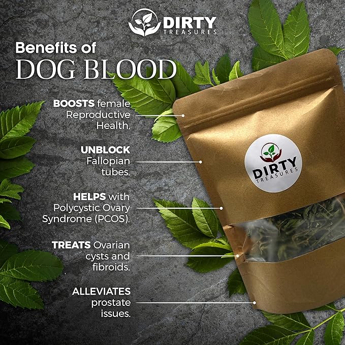 Generic Dirty Treasures JM Jamaican Dog Blood Herb (Fertility Bush) Rivina Humilis (4oz)