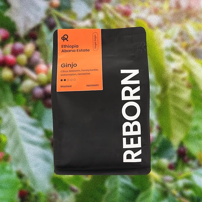 Reborn Coffee Specialty Whole Bean Coffee Light-Medium Roast 12 Ounce Ethiopia Abana Estate Ginjo Notes of Citrus Blossom Honeysuckle Watermelon and Nectarine