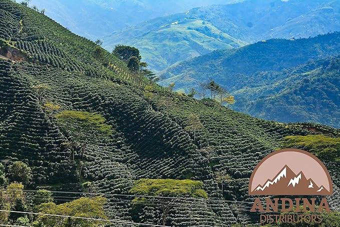 Andina Colombian Organic Medium Roast - Ground Coffee 100% Arabica (1 LB)